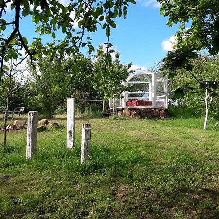 Glashaus Sternblick, Schlafen Unterm Sternenhimmel Neustadt am Kulm Bagian luar foto