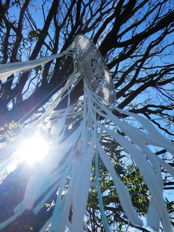 Glashaus Sternblick, Schlafen Unterm Sternenhimmel Neustadt am Kulm Bagian luar foto