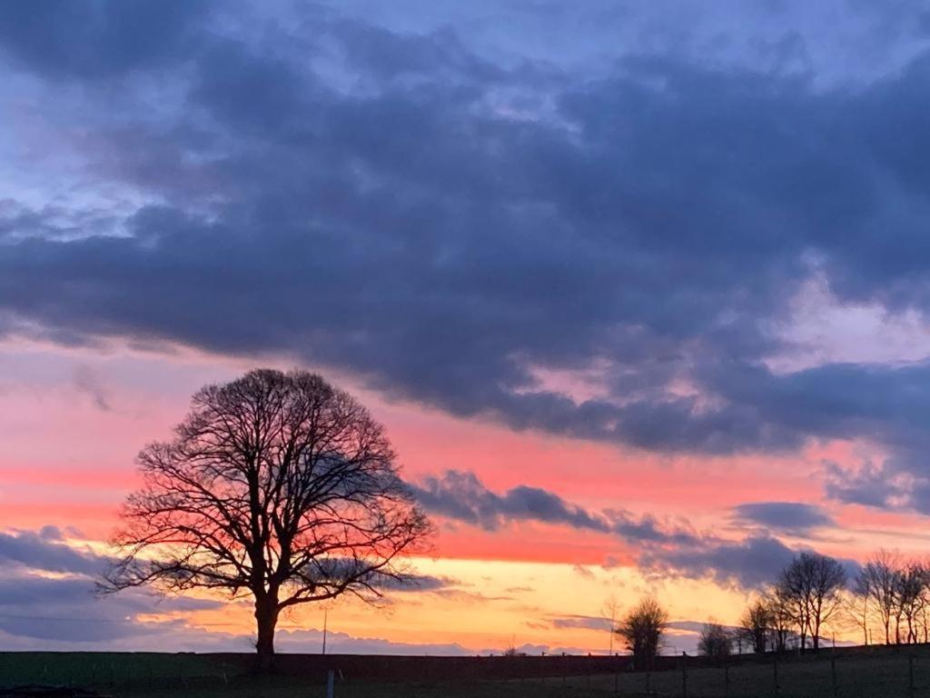 Glashaus Sternblick, Schlafen Unterm Sternenhimmel Neustadt am Kulm Bagian luar foto